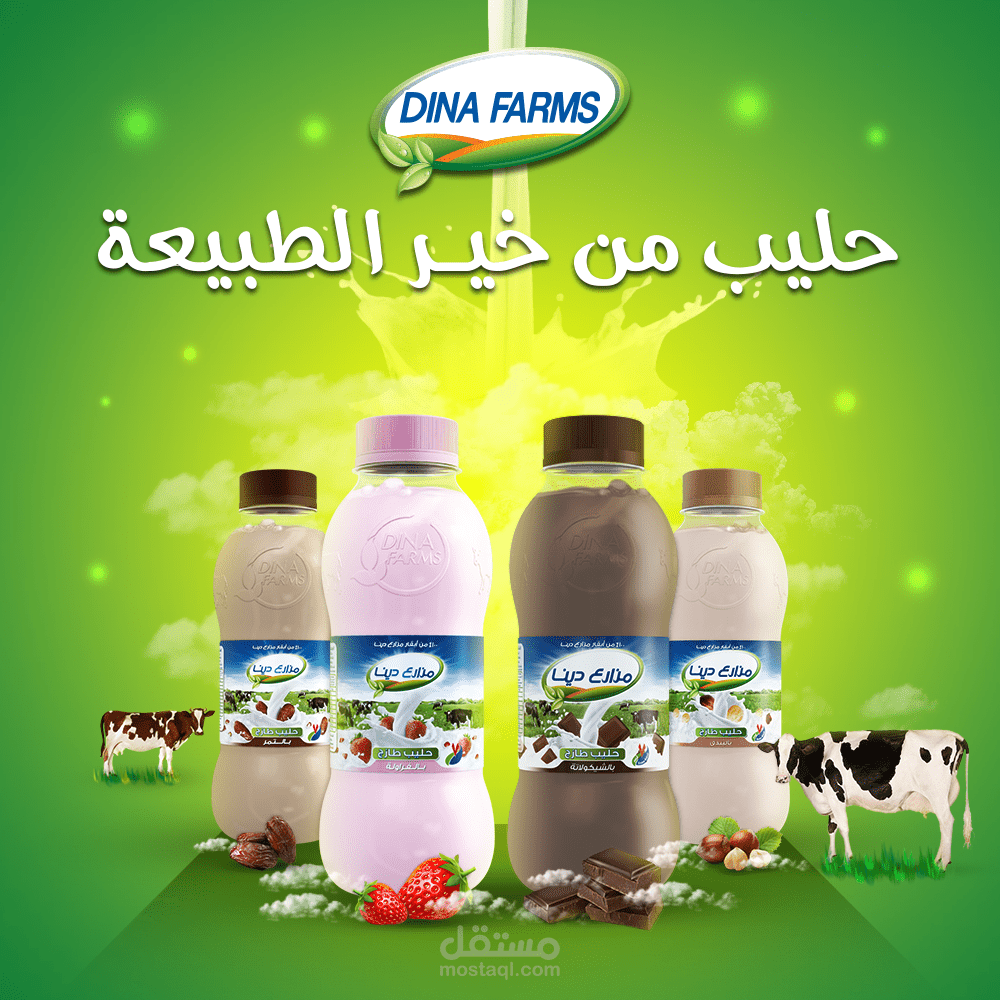 تصميم أعلانات سوشيال ميديا مزارع دينا