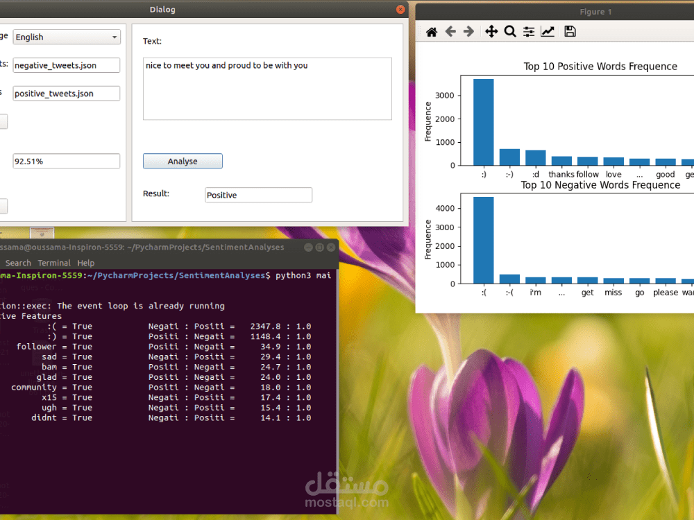 Sentiment analysis in social media