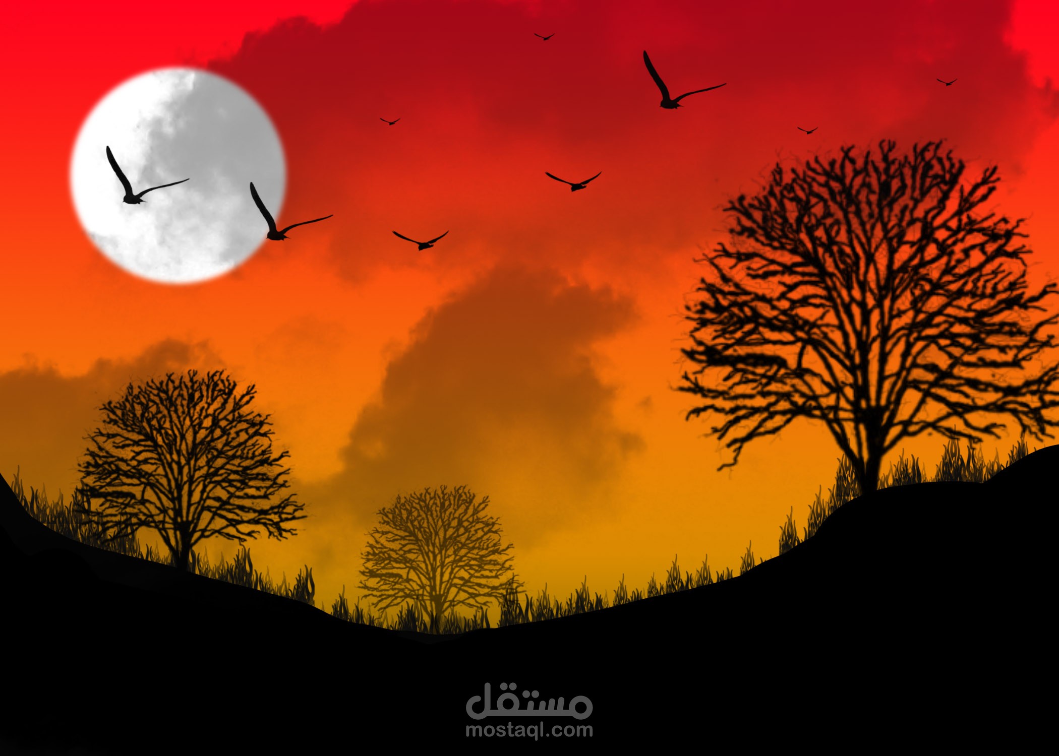 فرش تشكيل رسم