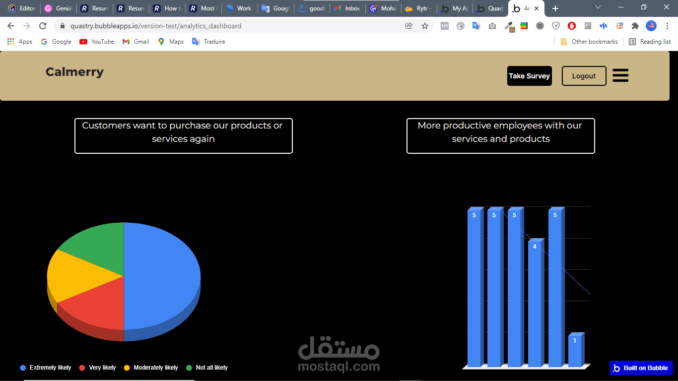 نظام دعم العملاء