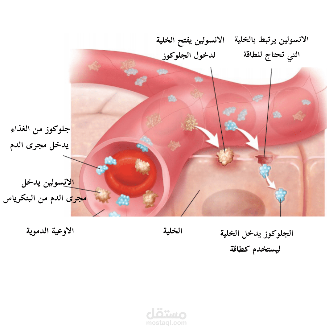 تصميم بوستات طبية و توعية
