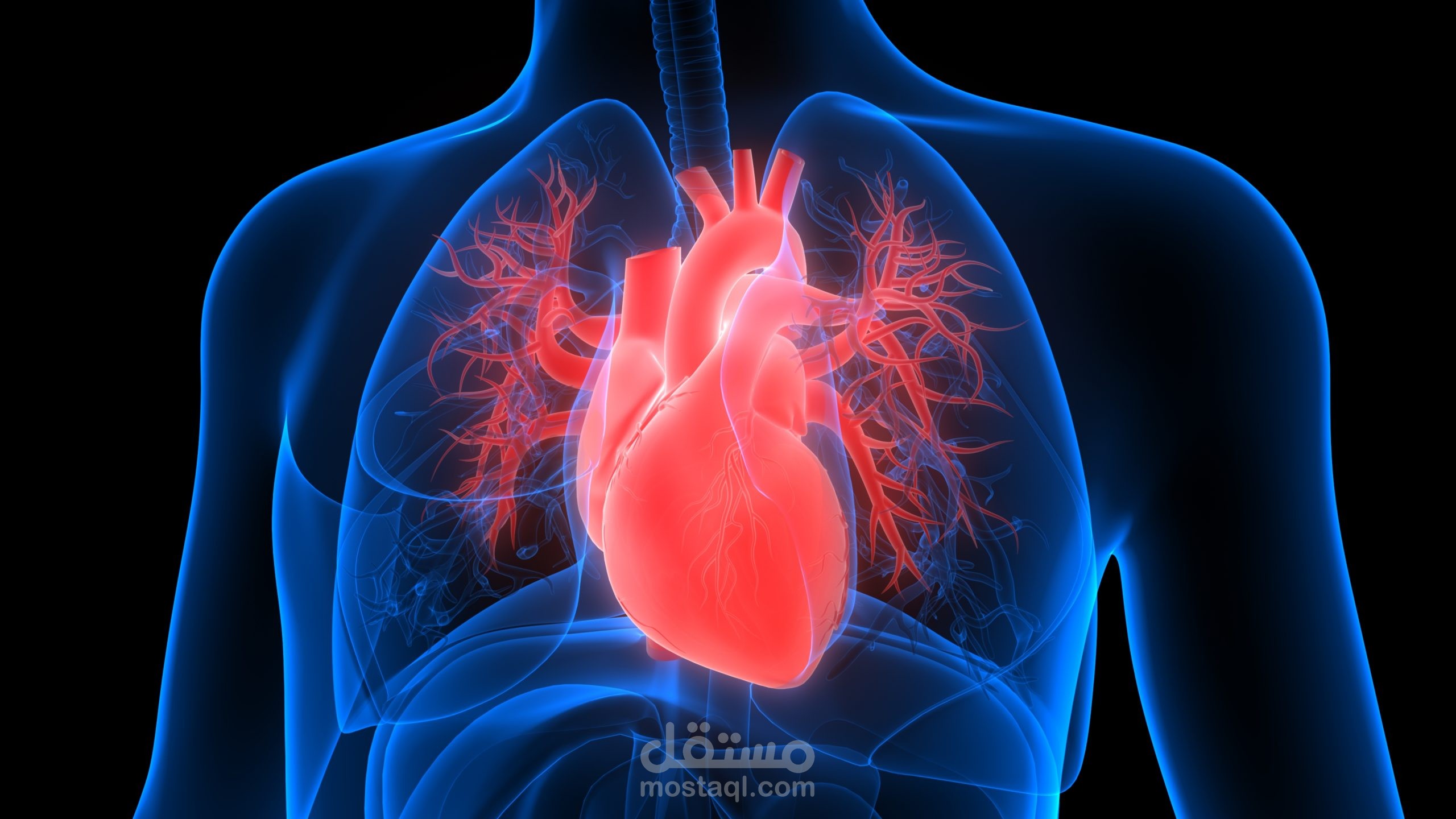 Heart Failure research
