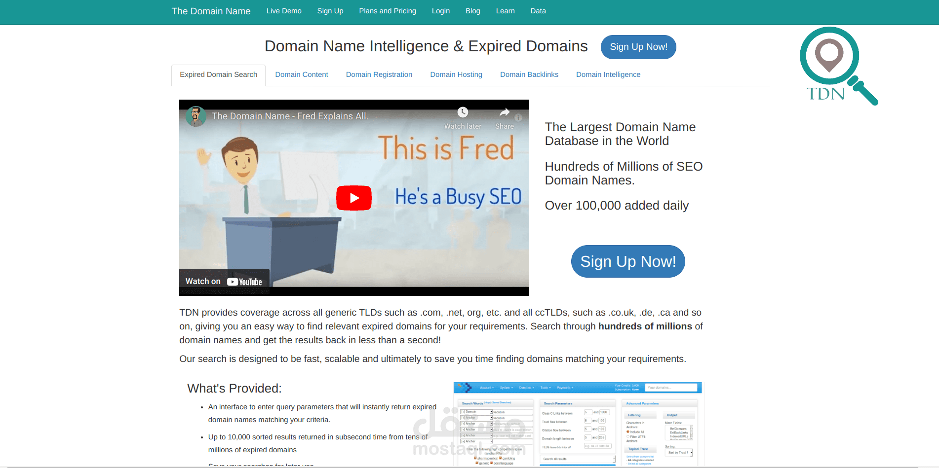The Domain Name