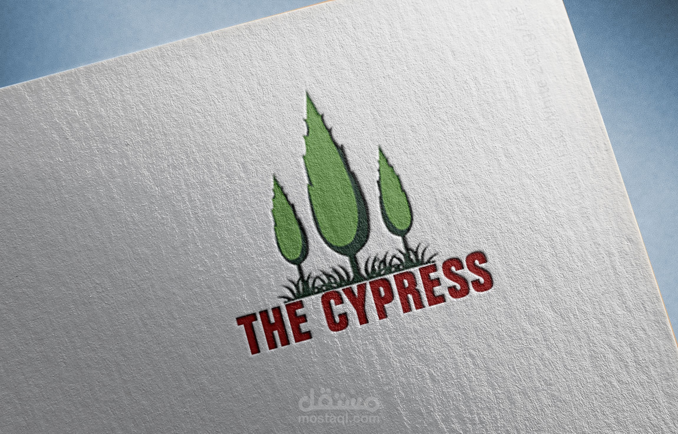 cypress tree Logo 1