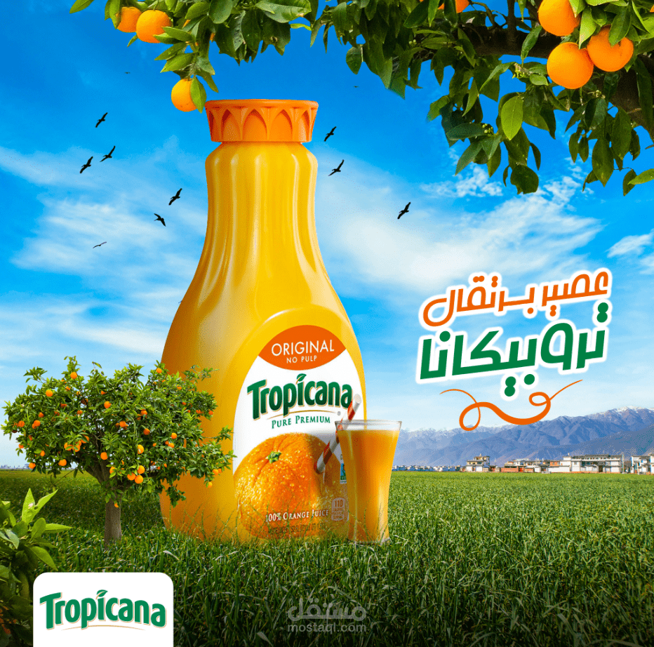 UNOFFICIAL DESIGN FOR TROPICANA JUICE