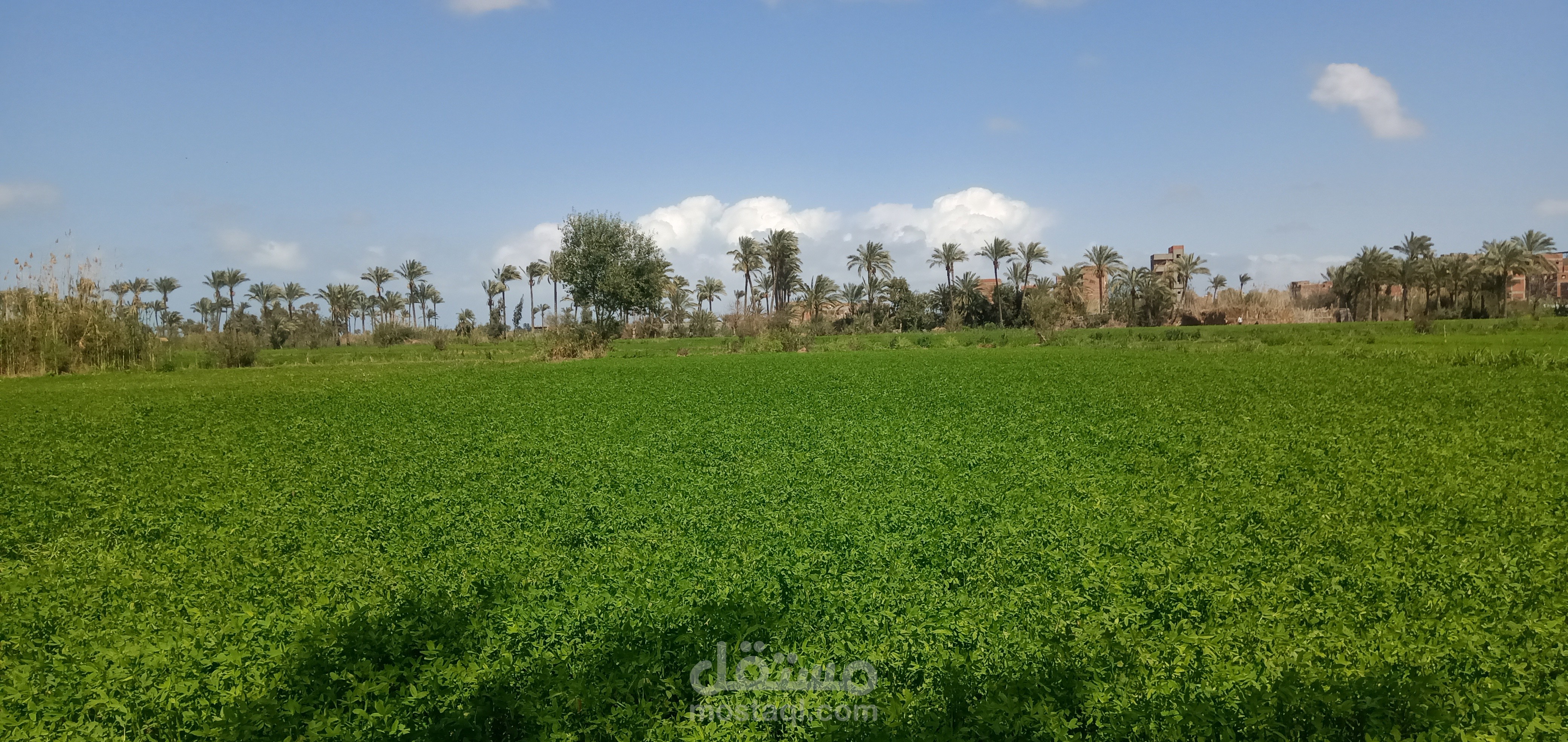 تعديل اللوان الصور الطبيعية  edit colour for natural photo