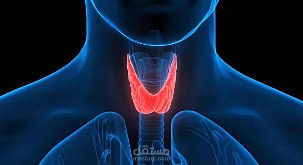 مقال عن parathyroid gland