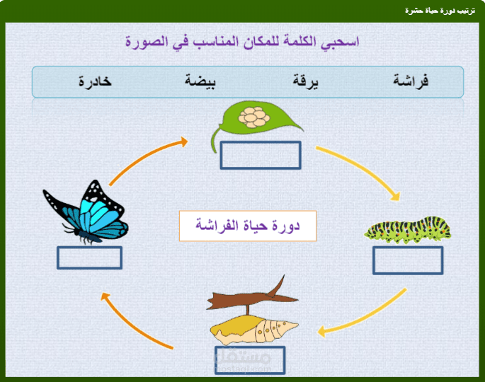 تصميم مهارات لمادة العلوم لعبة تعليمية