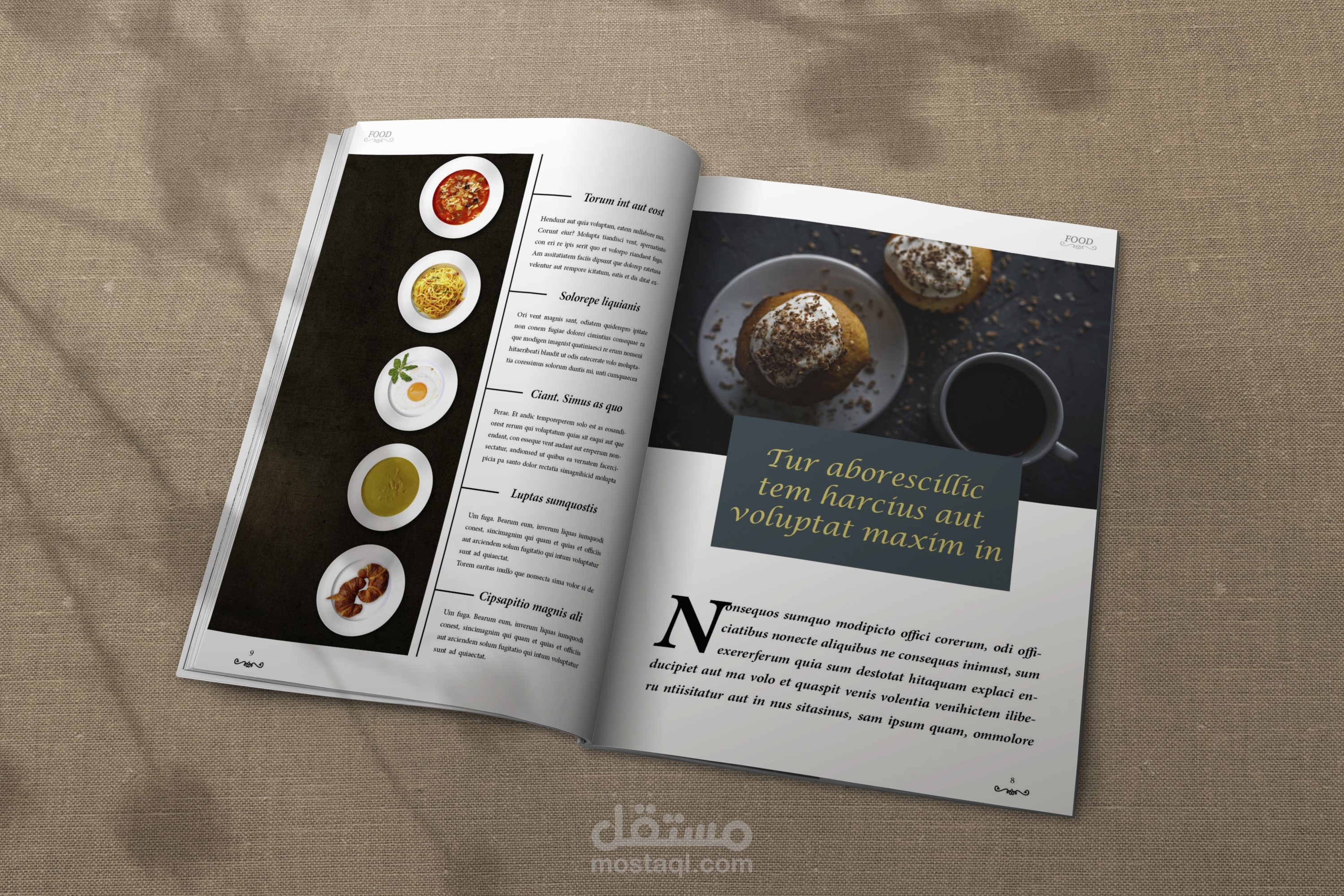 تصميم وتنسيق(كتب.مجلات.ملازم) باحترافية على الاندزين