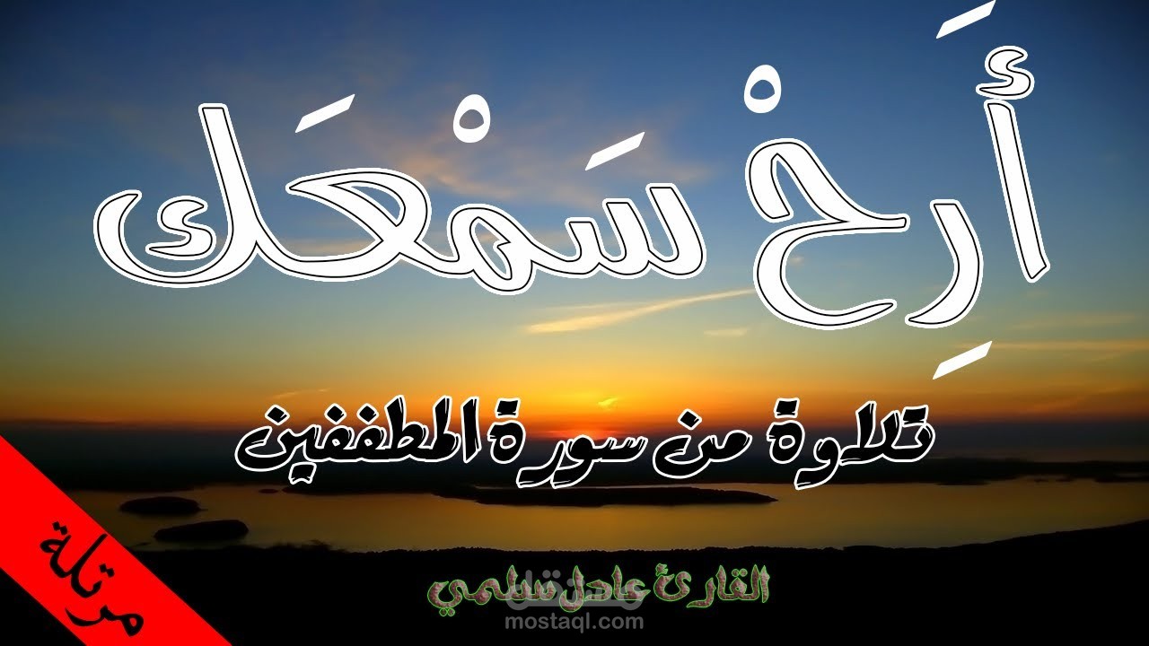 مونتاج لفيديو