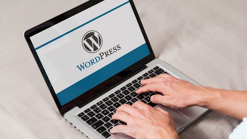البحث عن المنتجات وإضافتها على ورد بريس