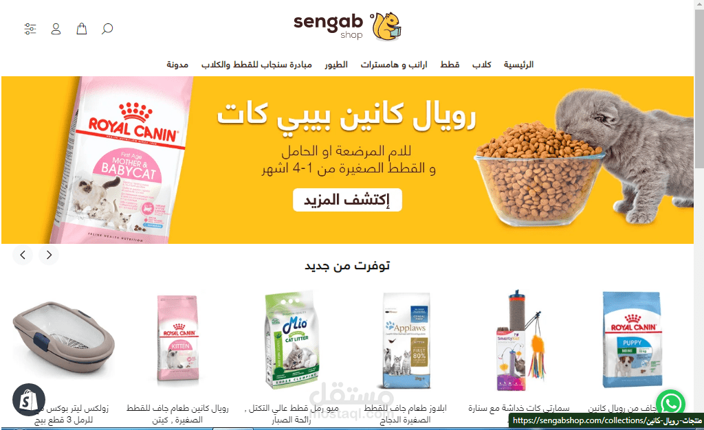 موقع سنجاب snjob