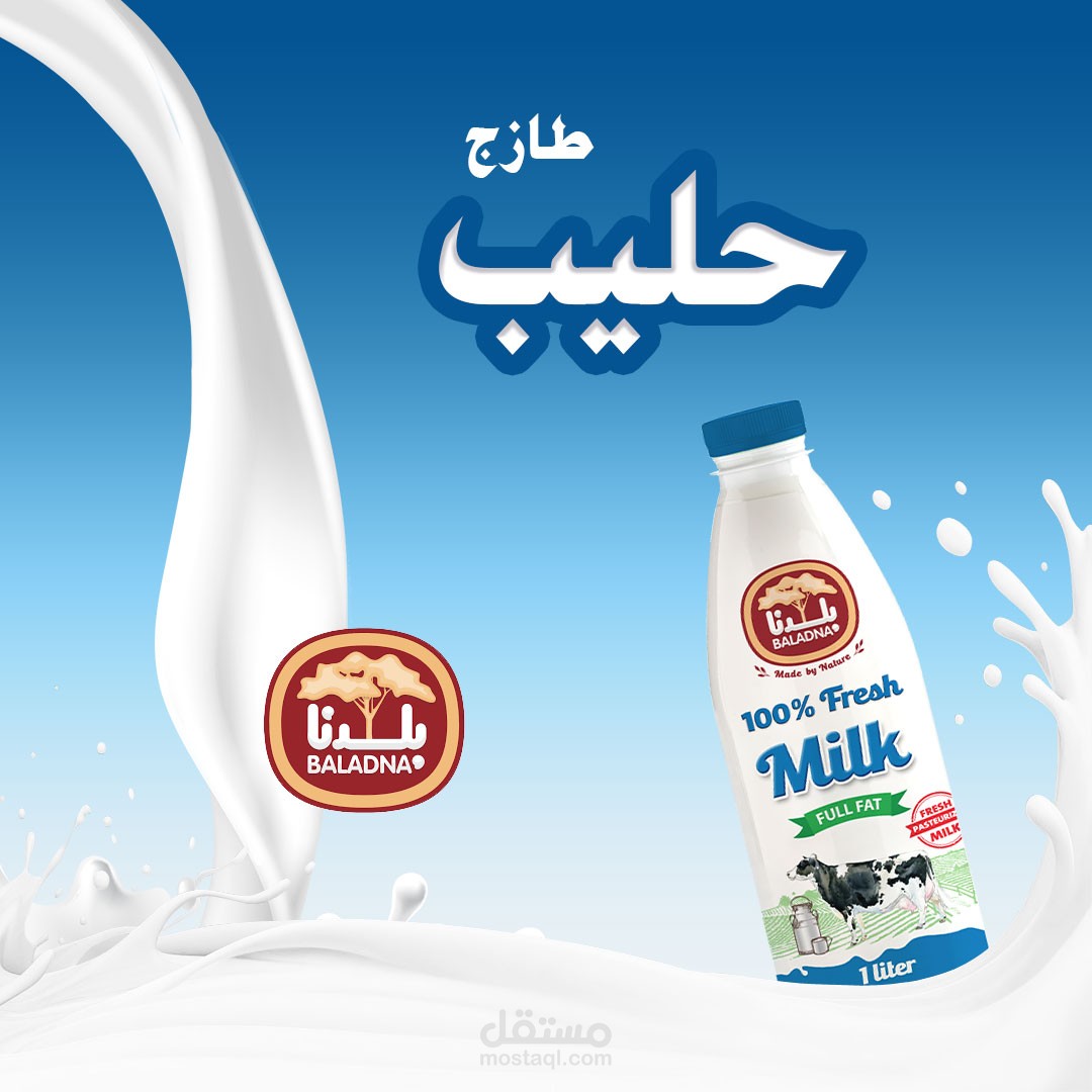 تصاميم  حليب وألبان وأجبان