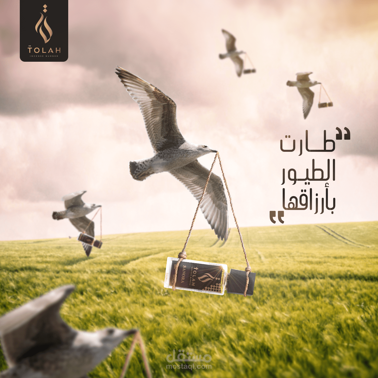 تصاميم انستجرام لشركة عطور