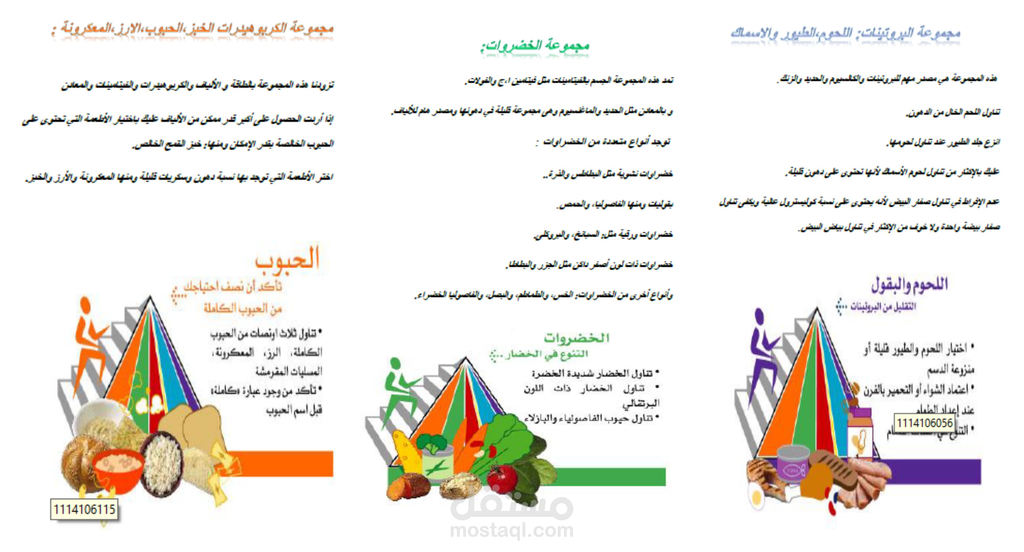 حقيبة عن التغذية المفصلة بفروعها