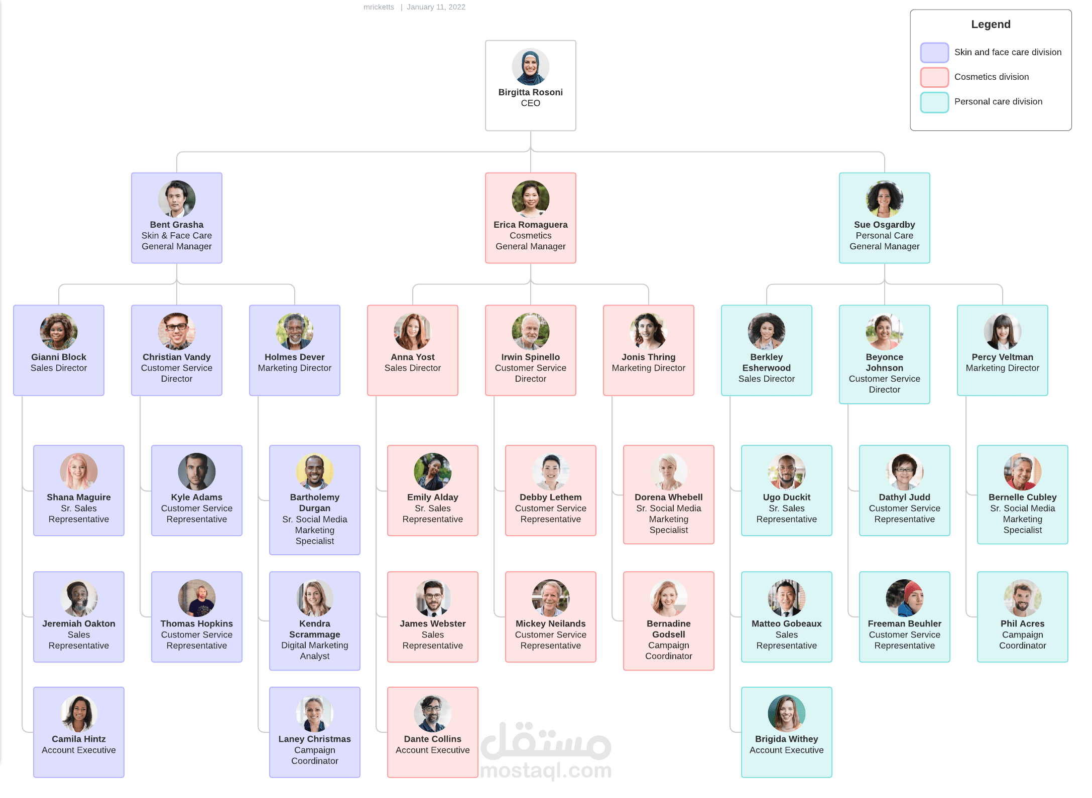هيكل تنظيمي - Organization Structure