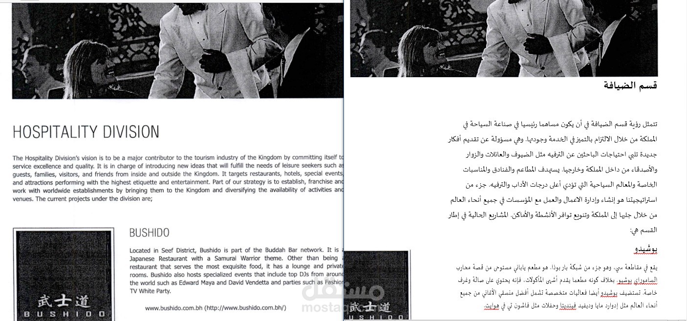 ترجمتي لعروض شركة سياحية