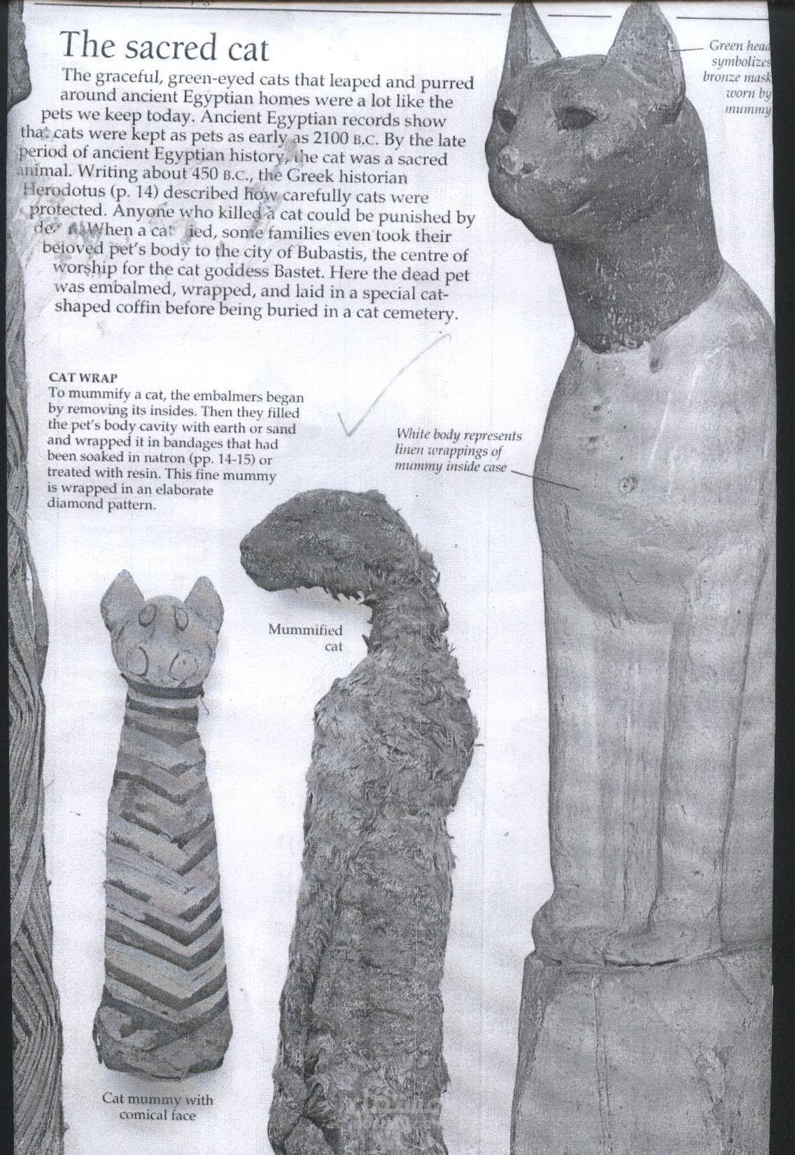 ترجمة تاريخية عن القدماء المصريين