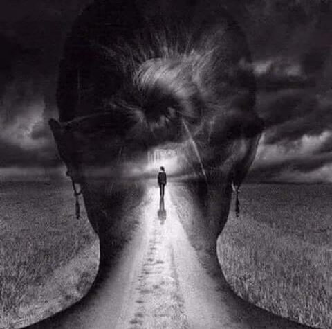 مقالة بقلمي بعنوان (لمن أضاع الطريق)