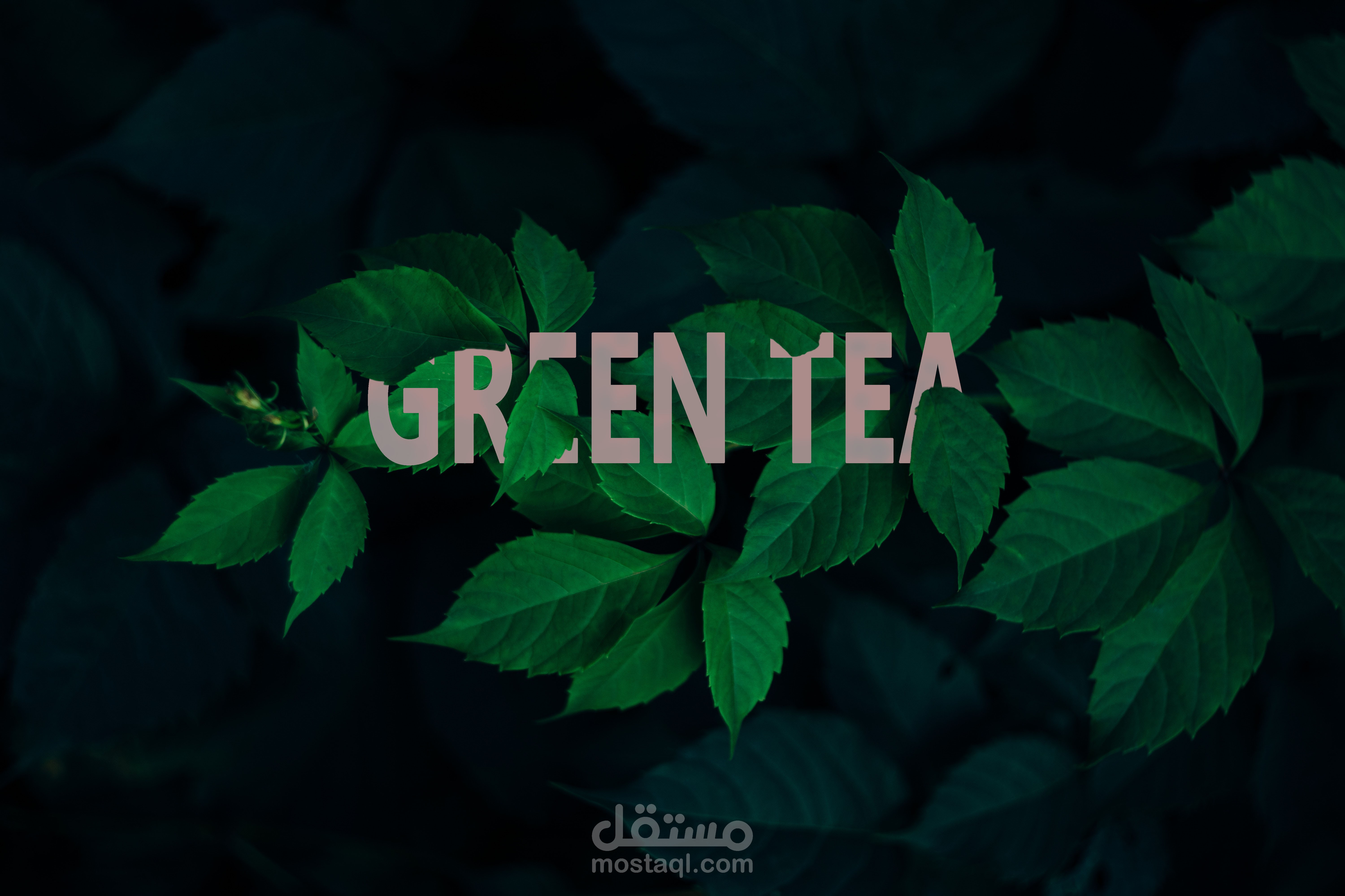 Green Tea