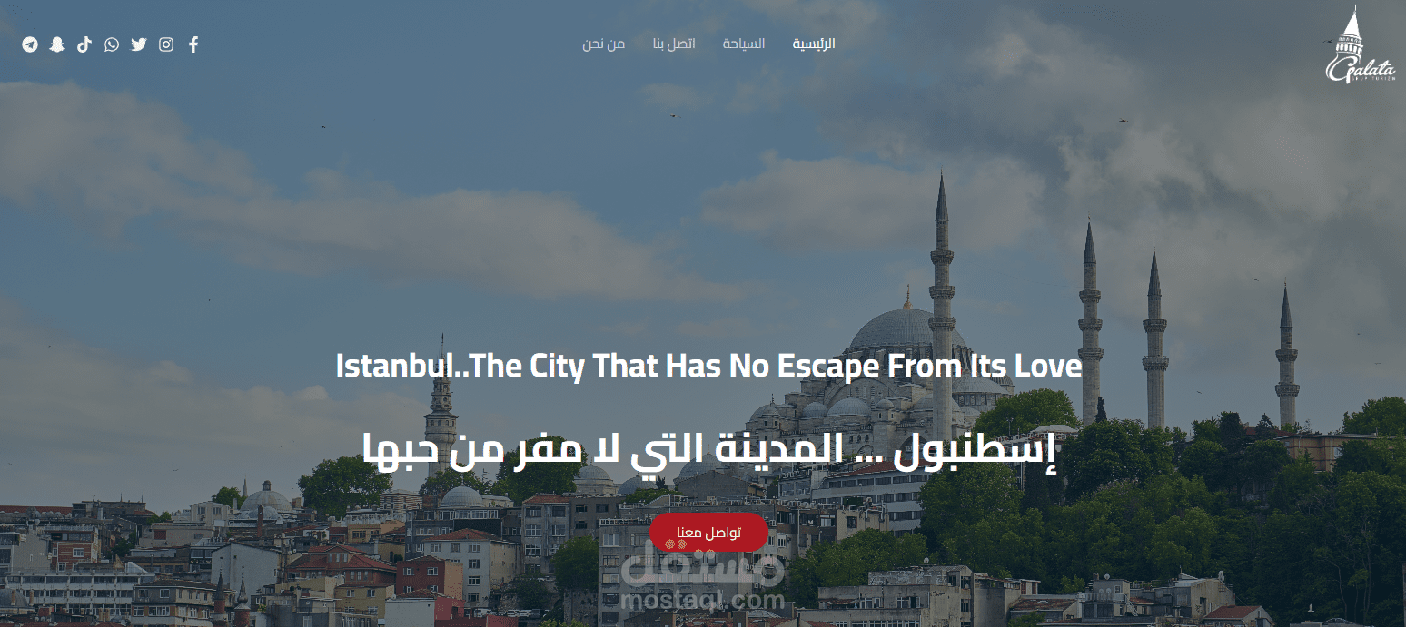 تصميم موقع ترانسفير في تركيا