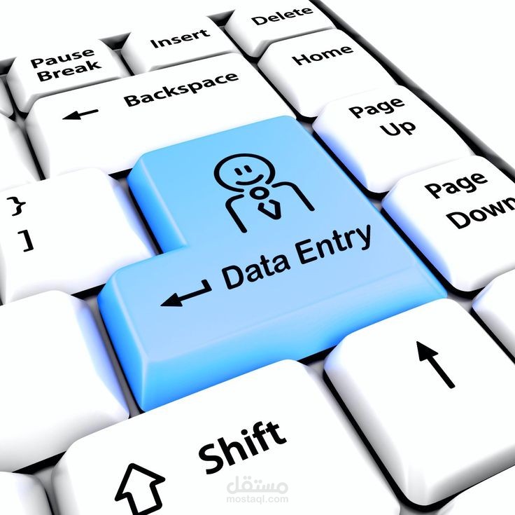 ادخال البيانات .Data Entry Work