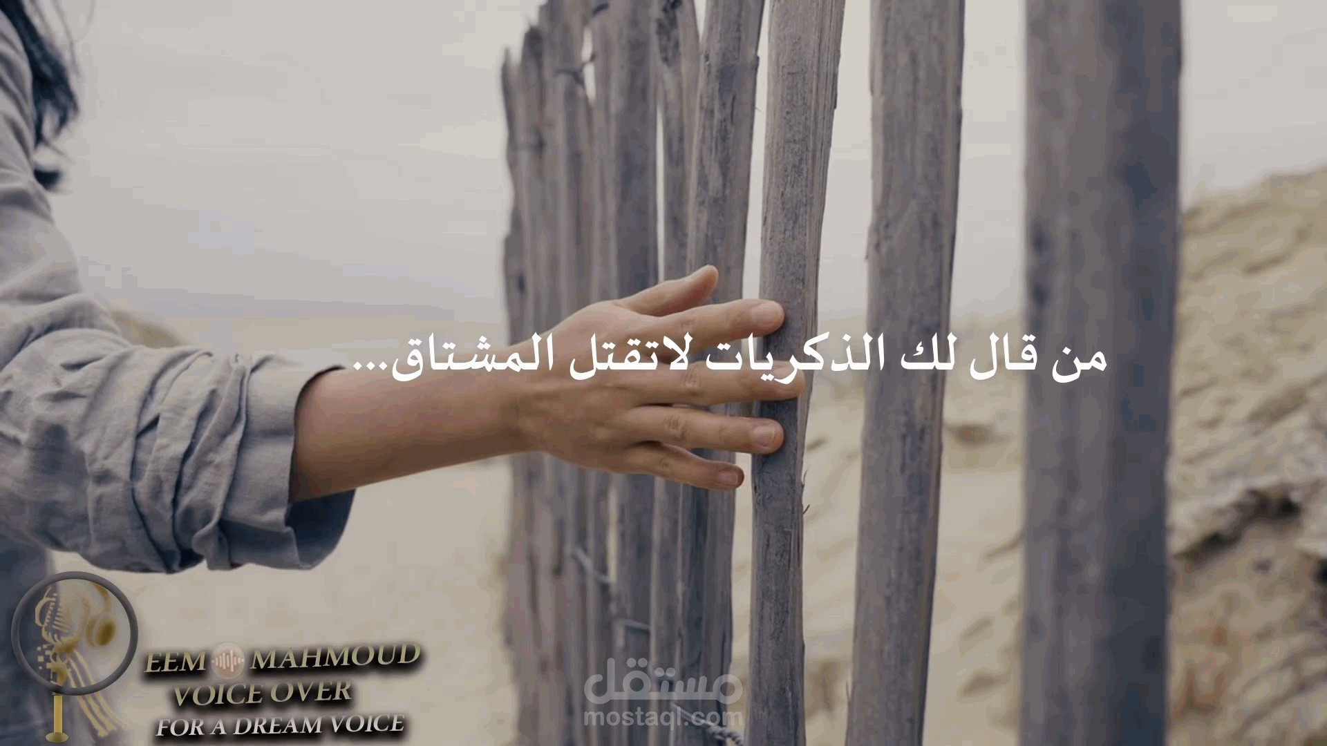 أيها السارق المسافر الراحل - قصيدة - O thief, the departed traveler! - poem بصوت ومونتاج ريم محمود