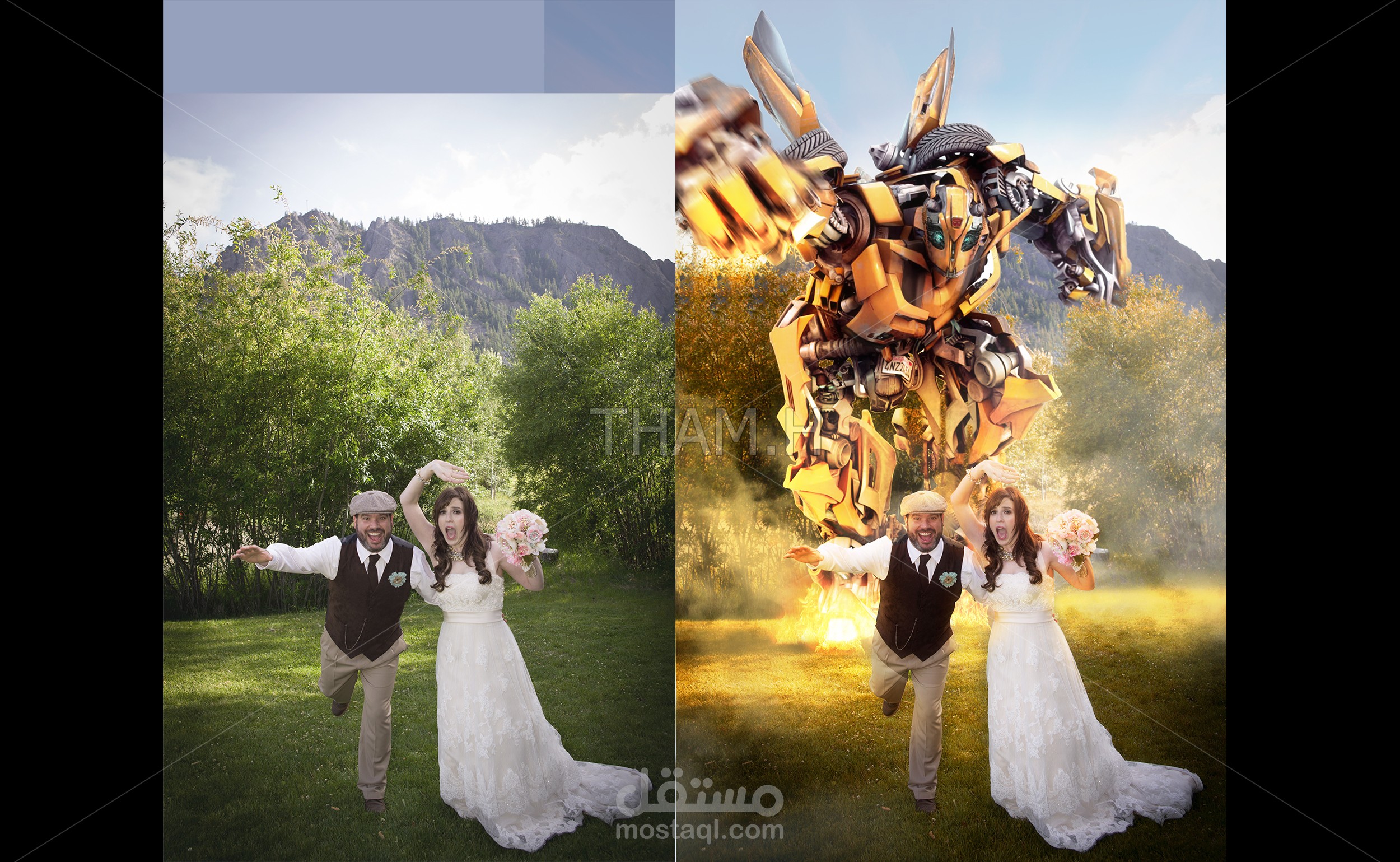 Photoshop 1 image ( cut out, edit, retouch, recolour,....)