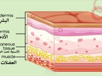 فيديوجرافيك إسعافات أولية
