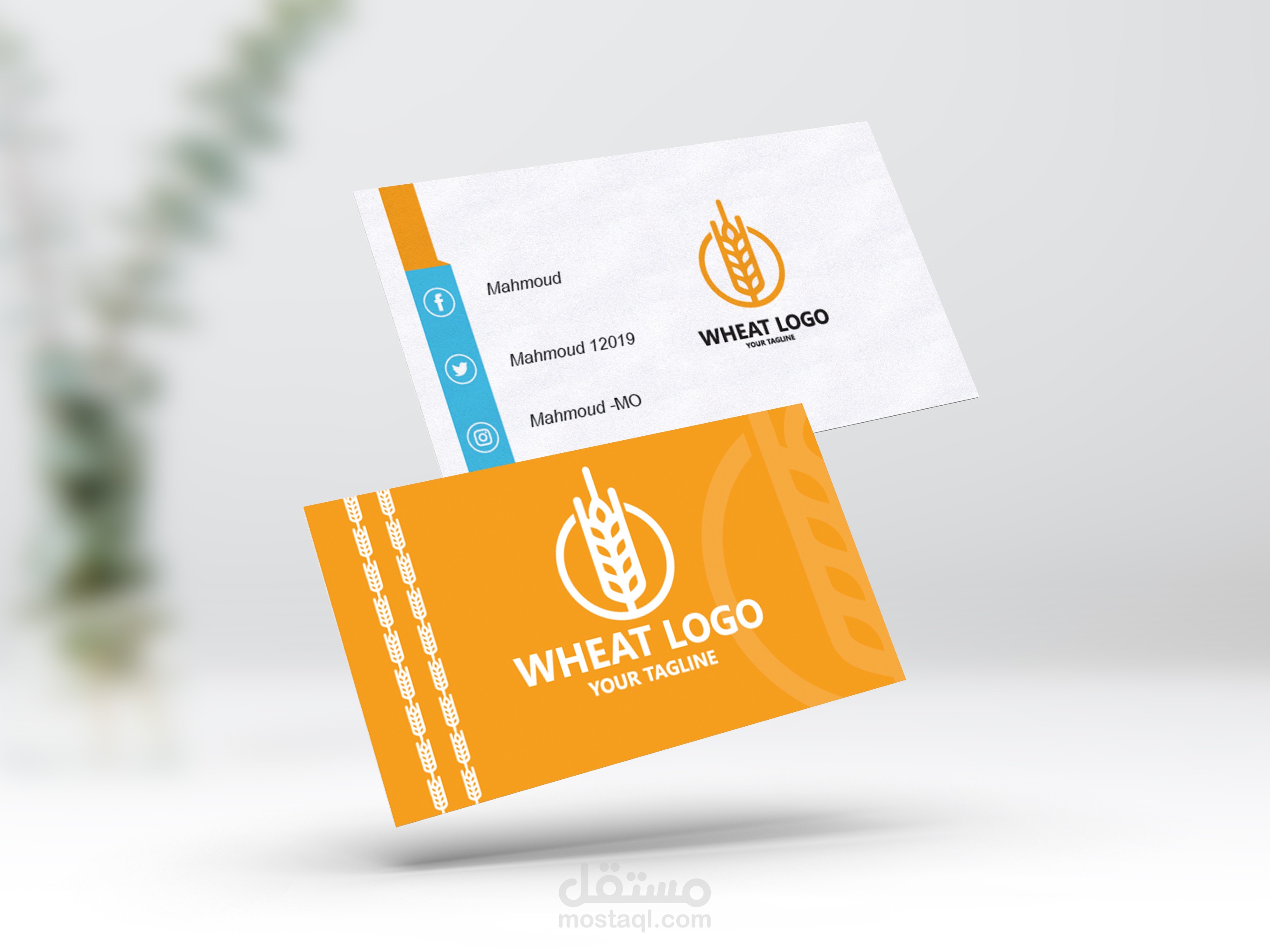 تصميم كرة الشركة وهوية بصرية