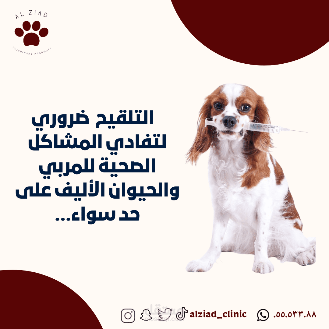 تصاميم أنستغرام لعيادة بيطرية