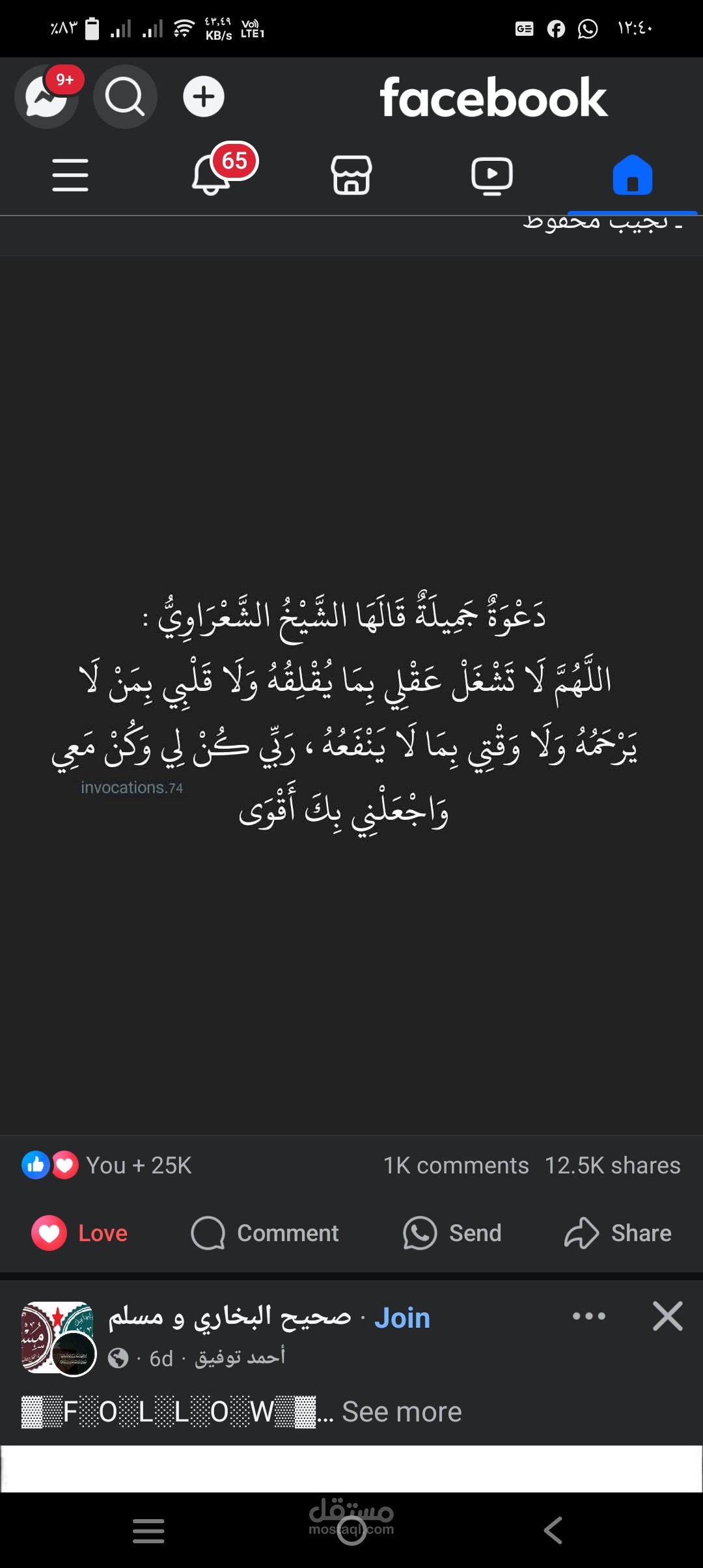 القليوبية مركز شبين القناطر