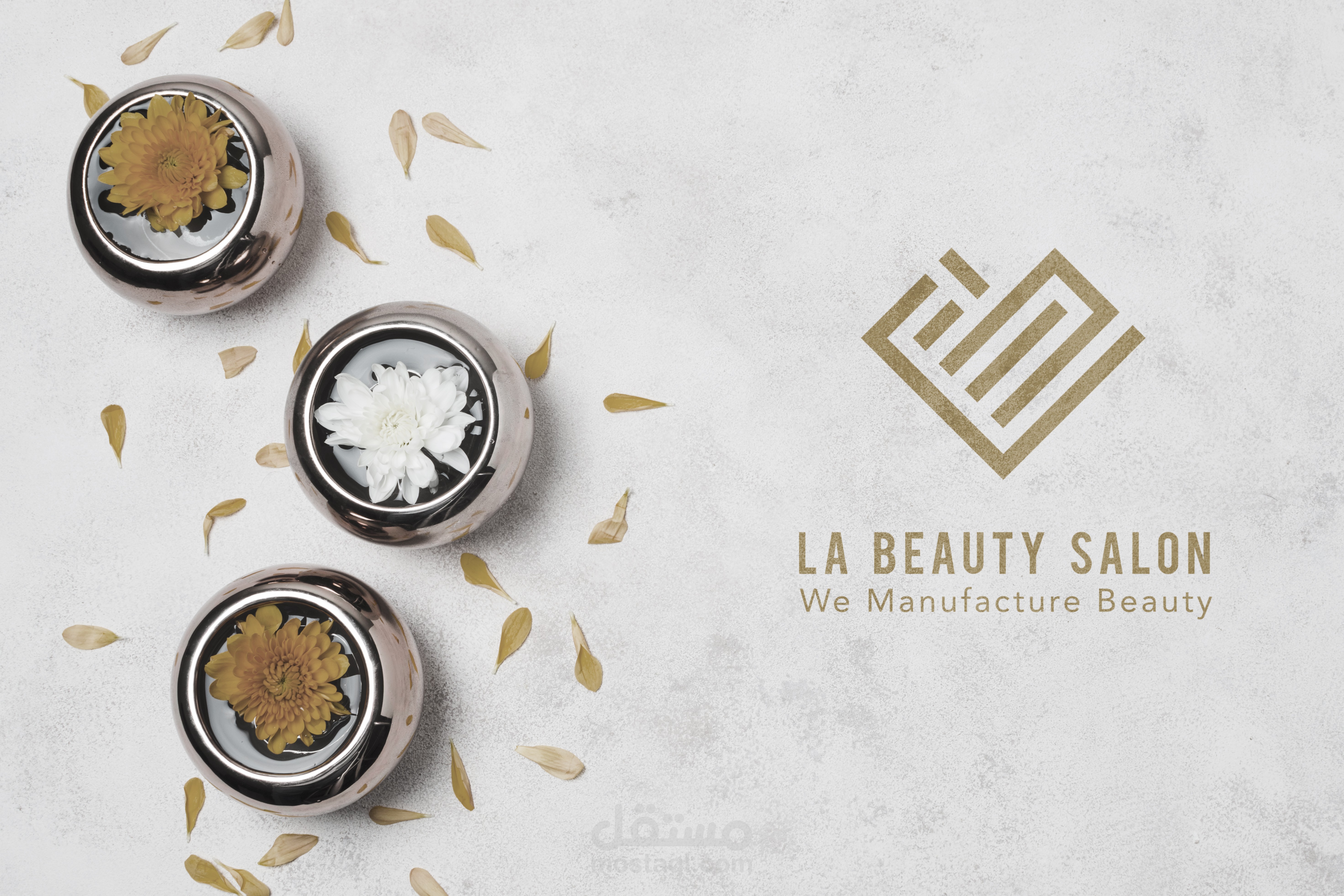 تصميم شعار وهوية LA Salon