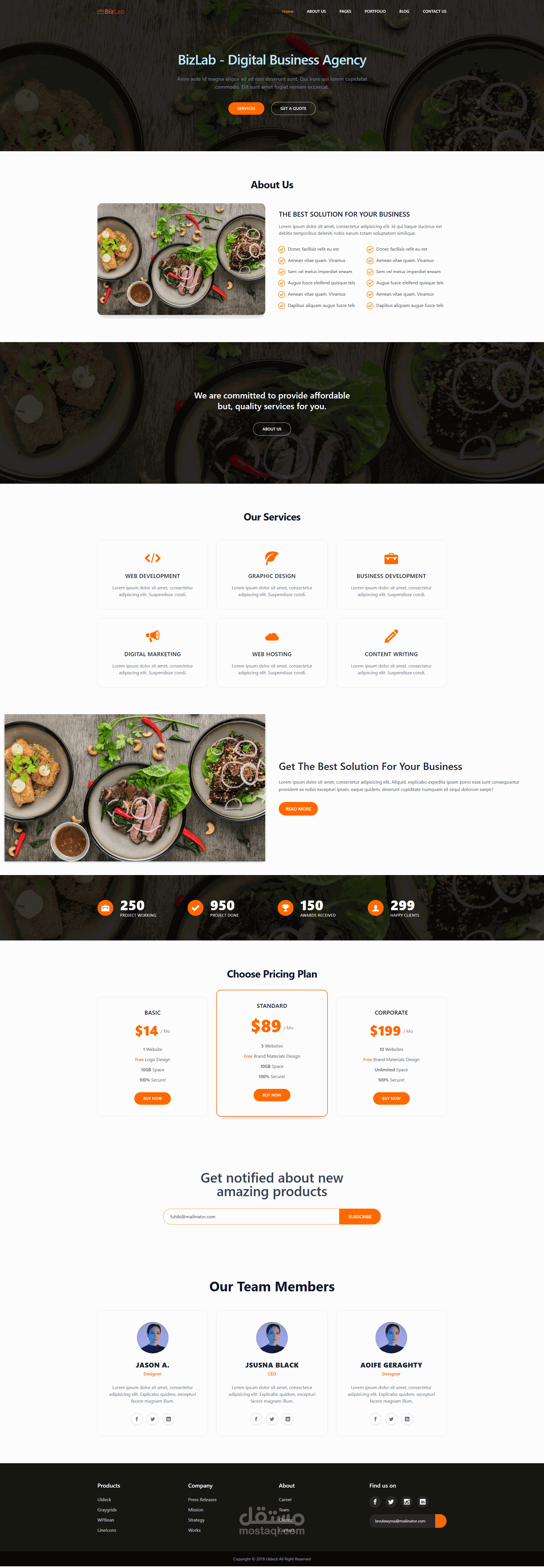 واجهة صفحة هبوط لوكالة أعمال رقمية — BizLab