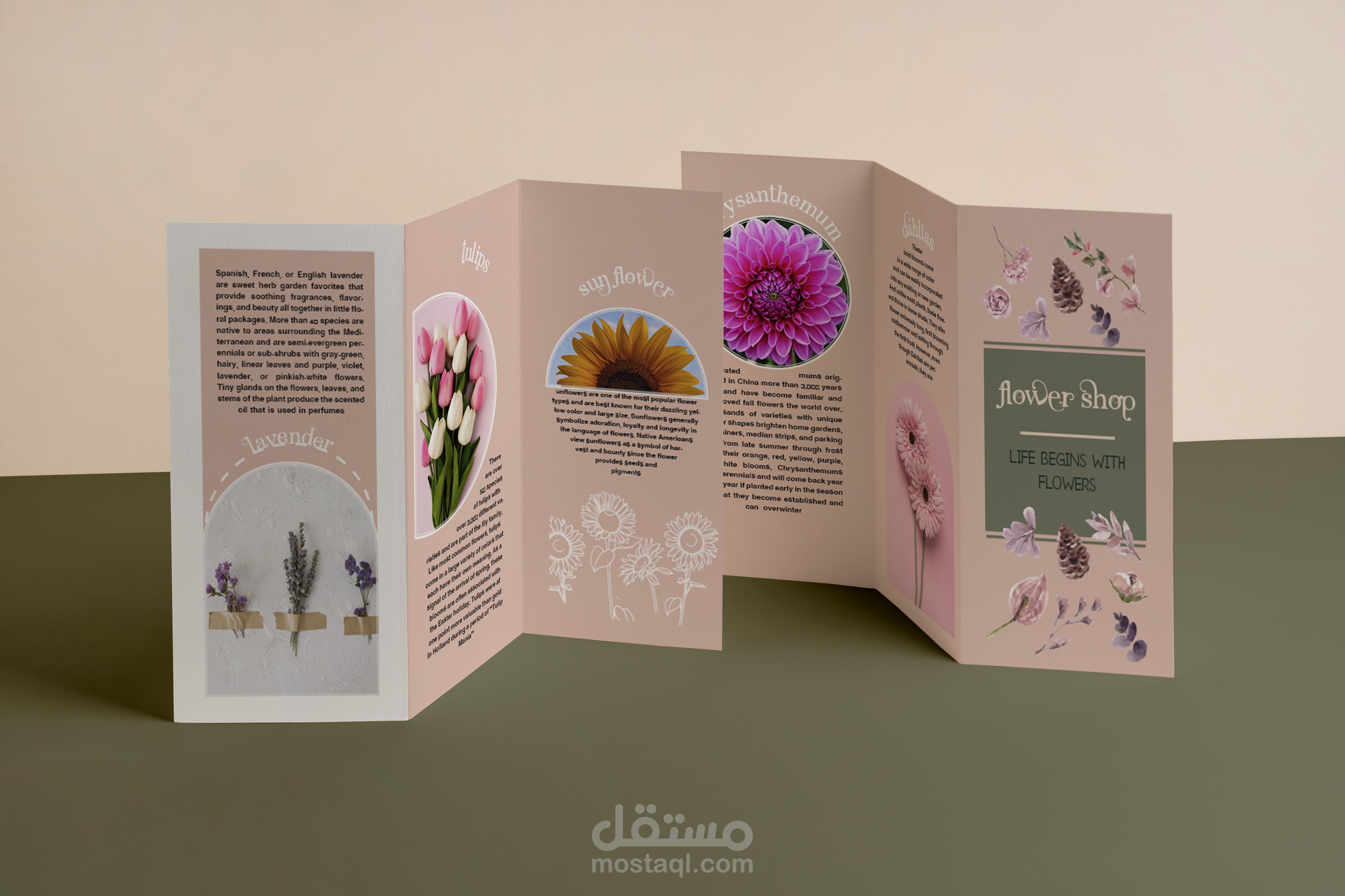 تصميم مطوية