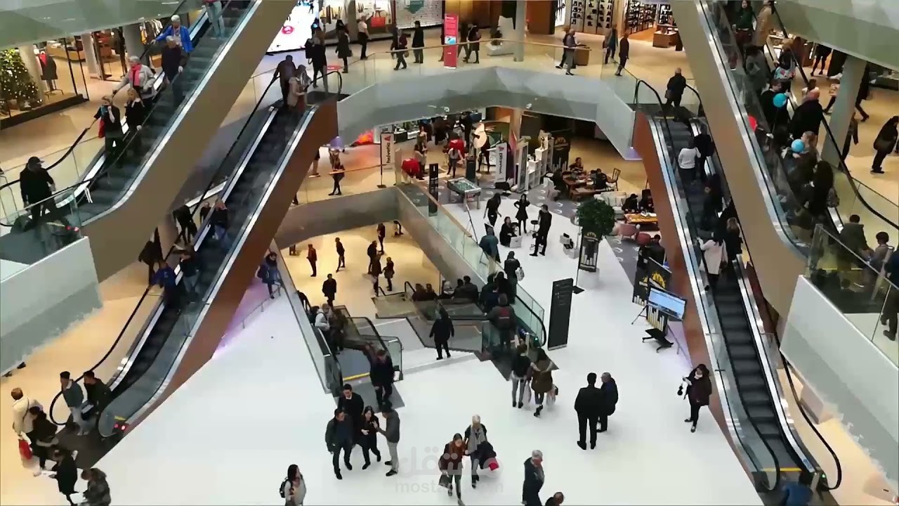 مونتاج لفيديو عن السياجة في سويسرا