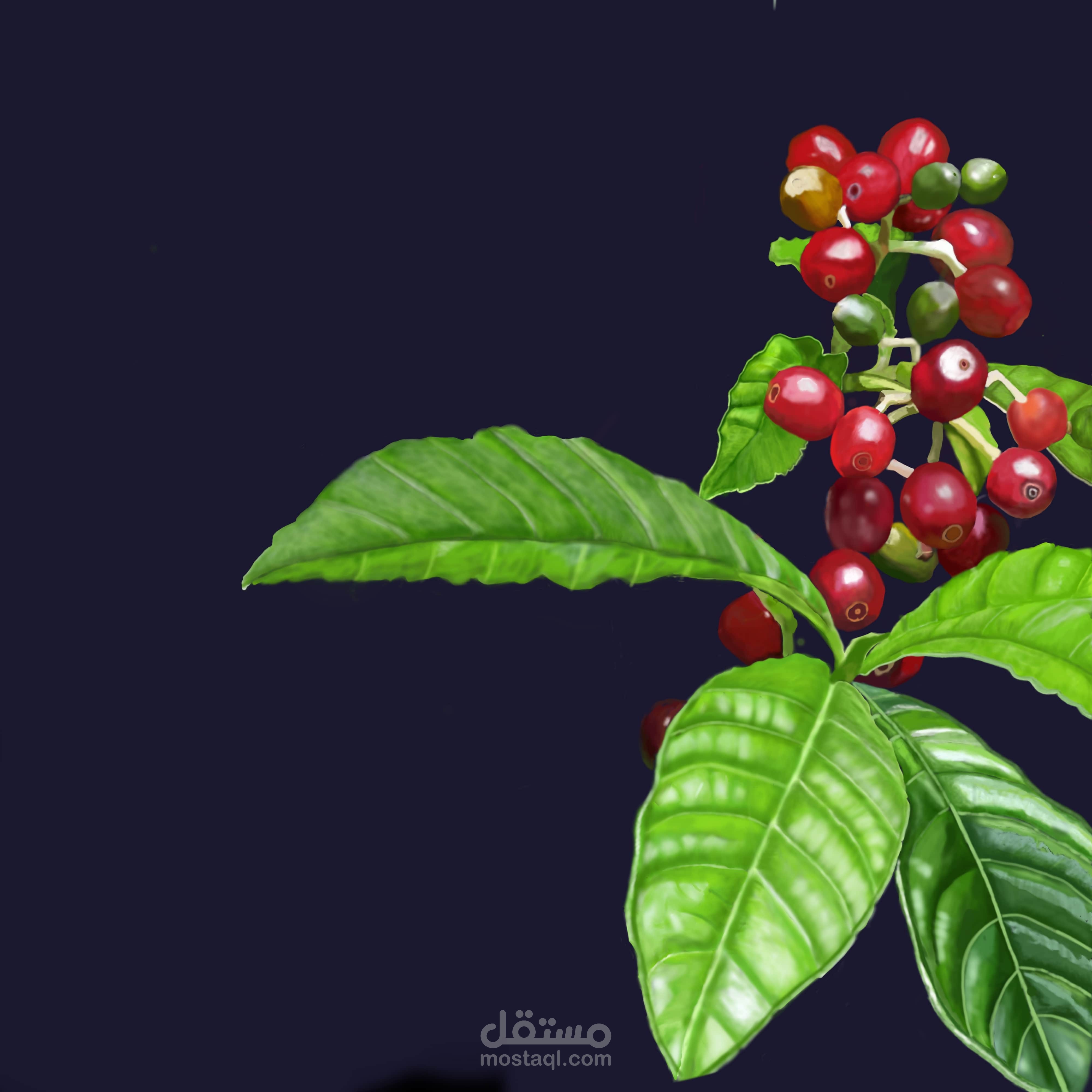 رسم رقمي