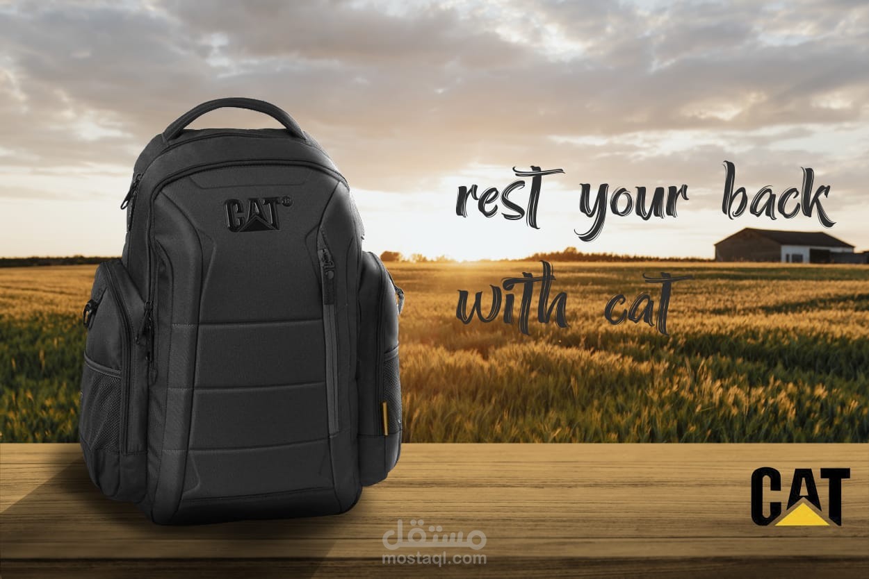 تصميم غير رسمي لشركة CAT