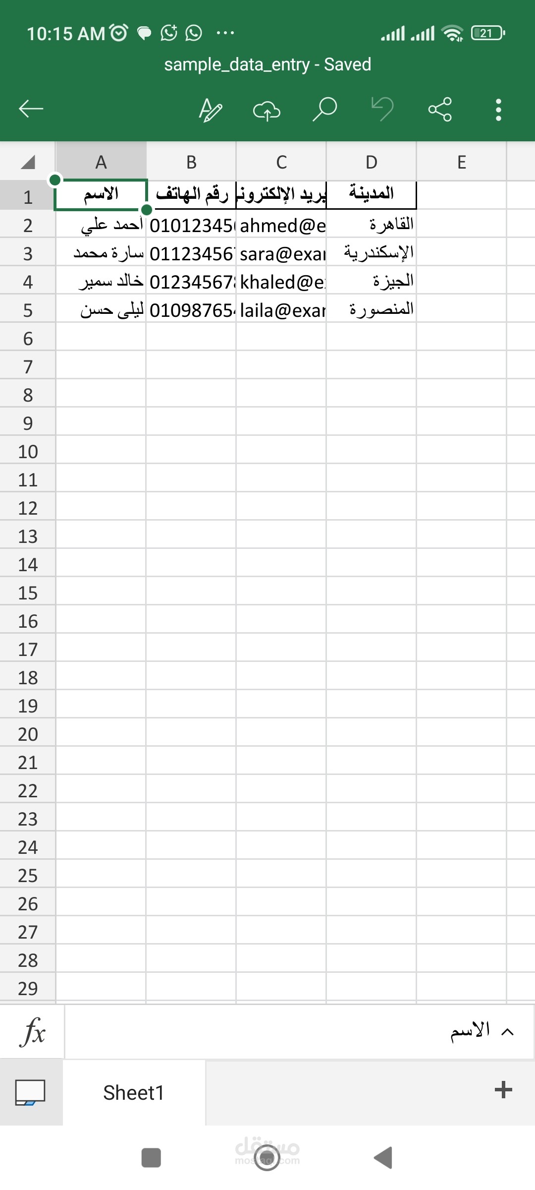 إدخال وتنظيم بيانات على Excel بدقة واحترافية