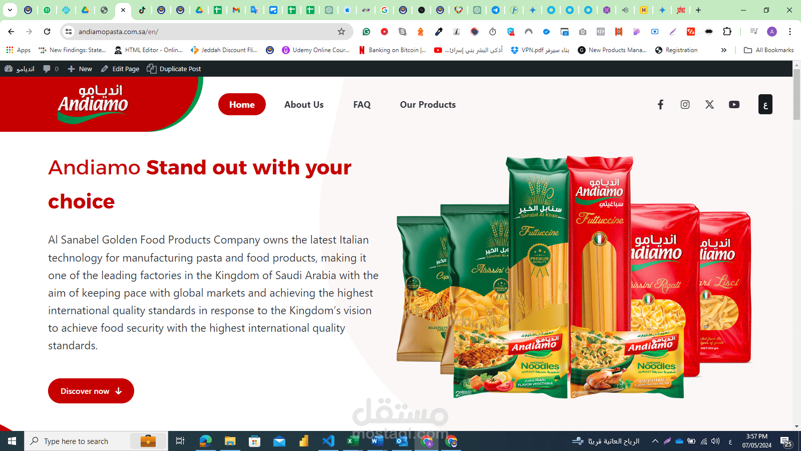 مةقع الكتروني على وردبريس