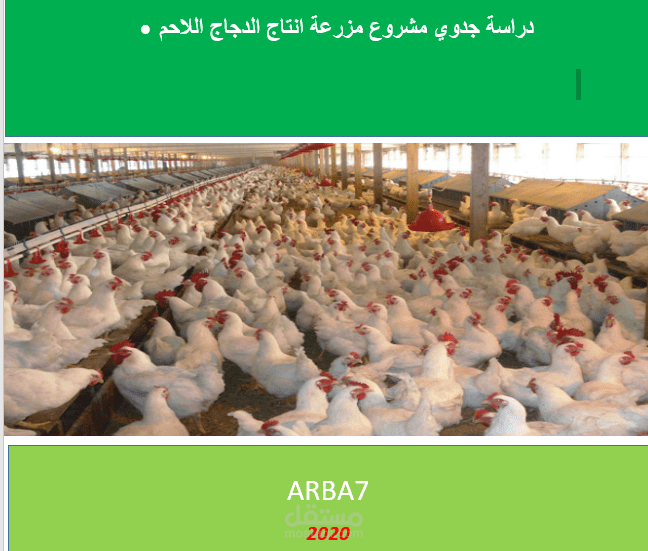 دراسة جدوى لمزرعة دجاج لاحم بطاقة 10 مليون طائر سنويا بالكويت