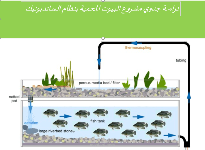 دراسة جدوى لمزرعة مائية بنظام الساند بونيك
