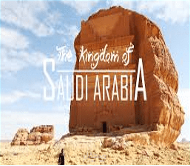 دراسة جدوى لشركة تنظيم رحلات سياحية