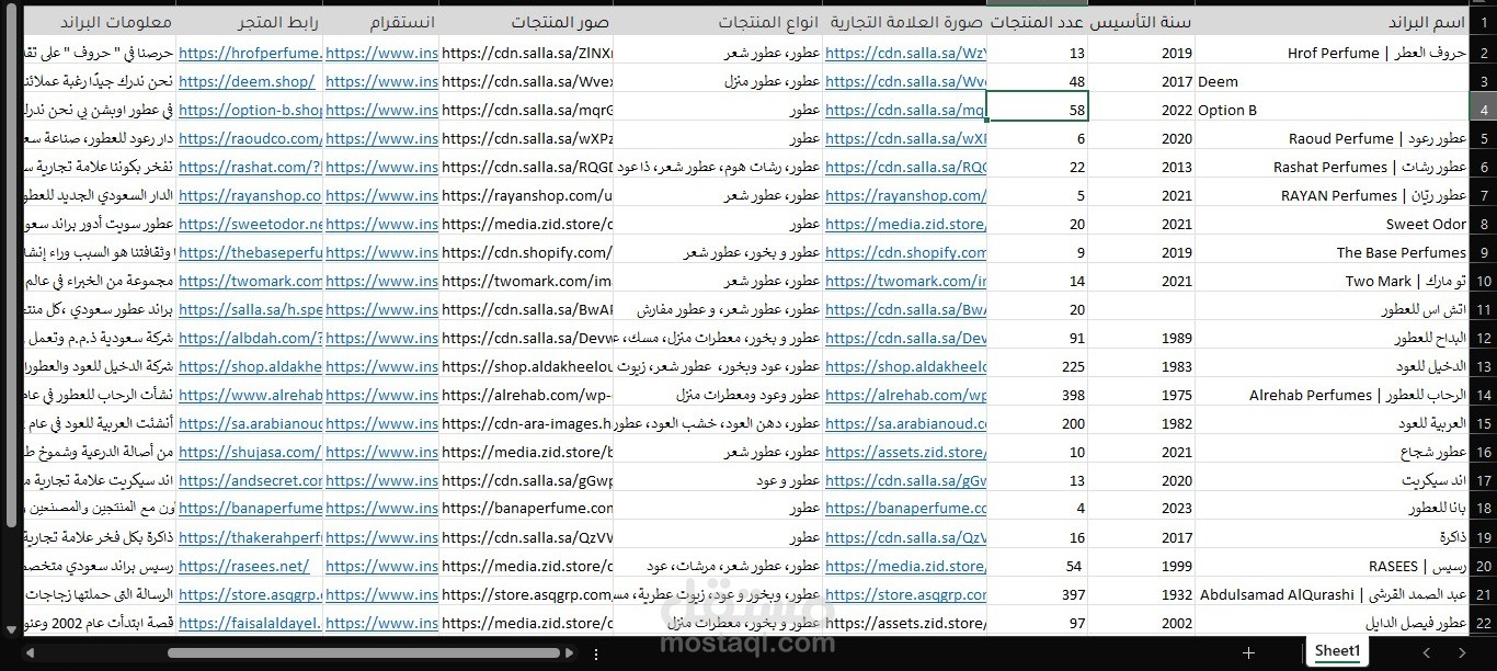 ادخال بيانات عن طريق الاكسل