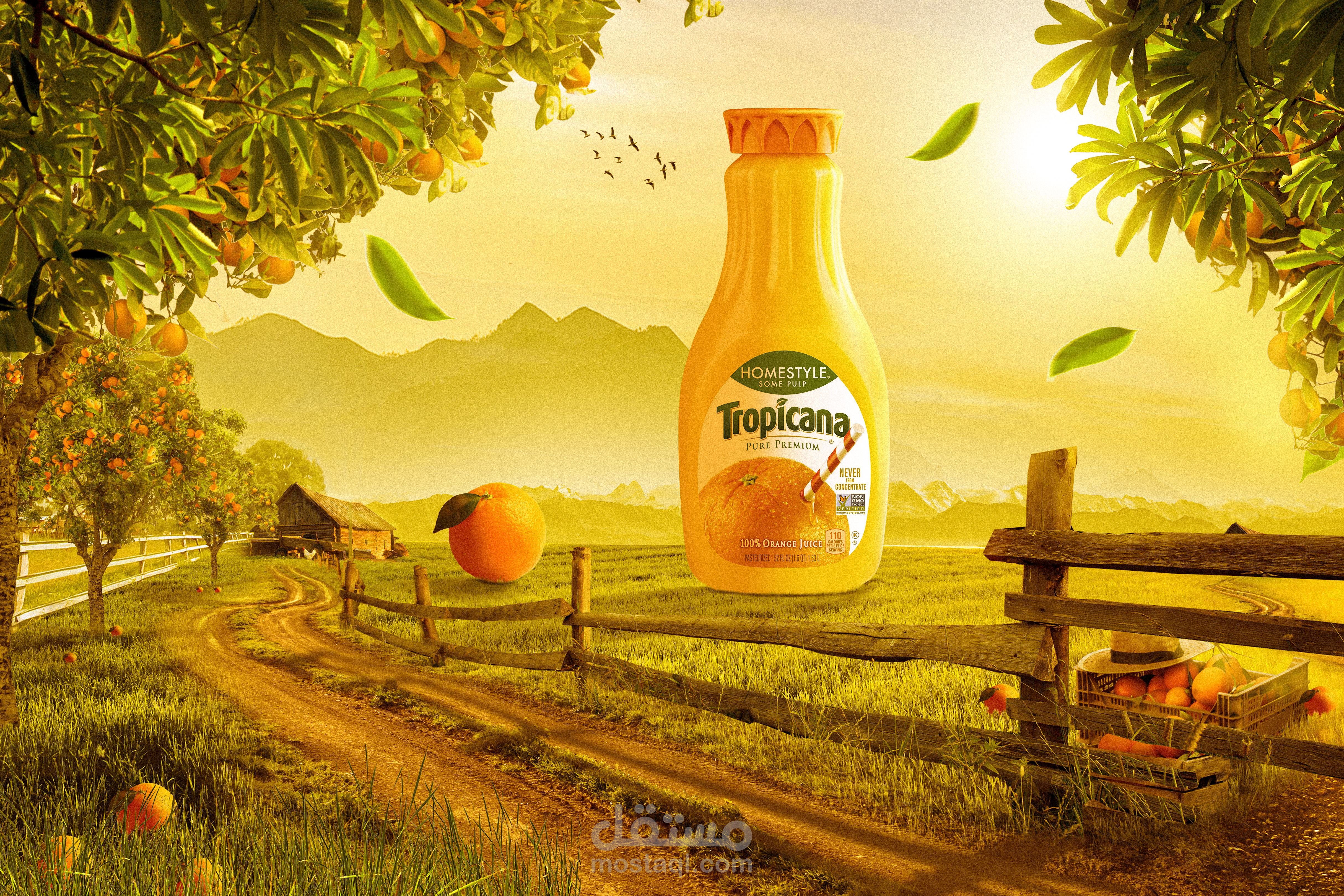 Tropicana - Photo manipulation