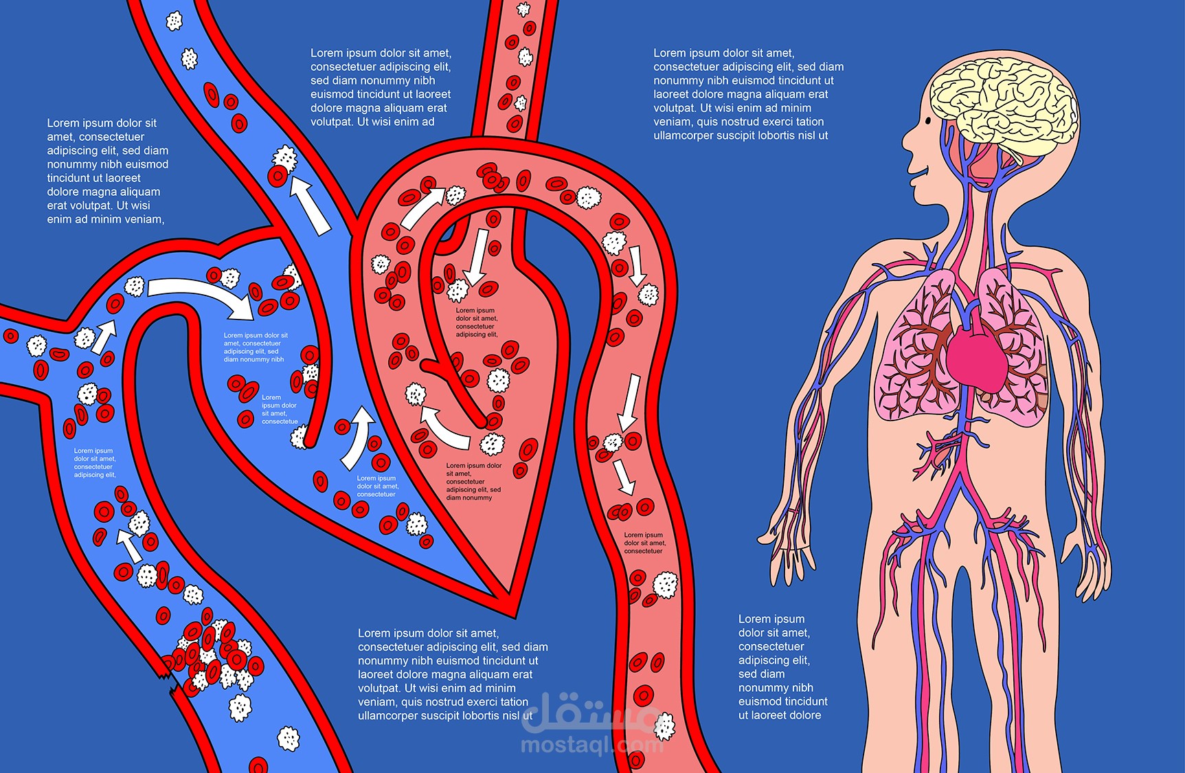 كتاب طبي للأطفال