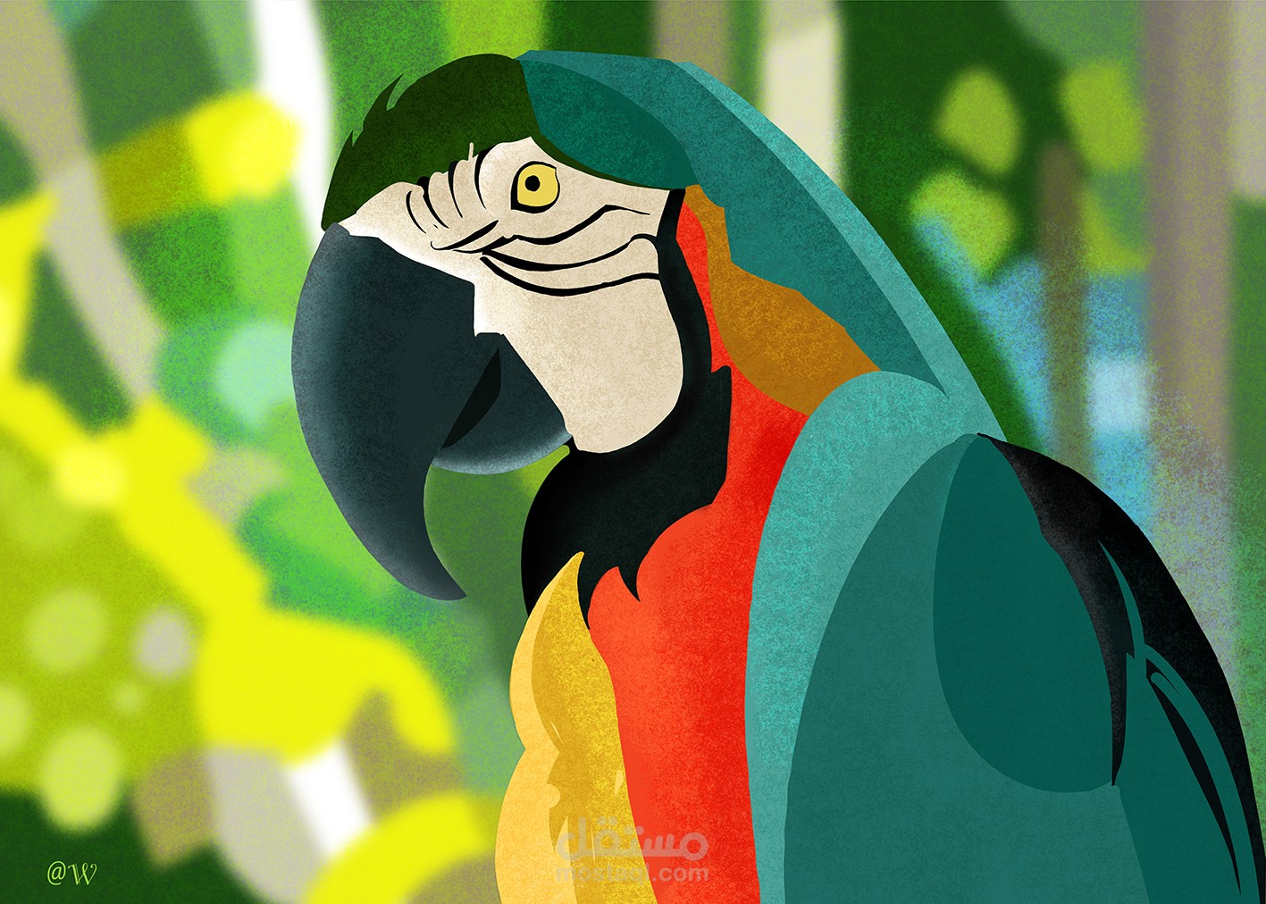 اعمال منفذة بصيغة ال GIF