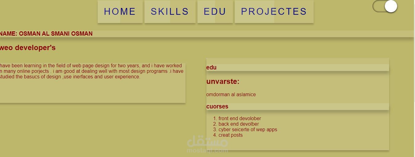 my cv in web side