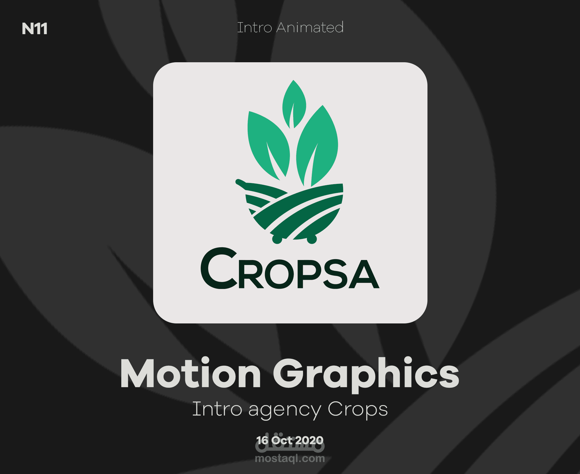 Intro (Cropsa company)