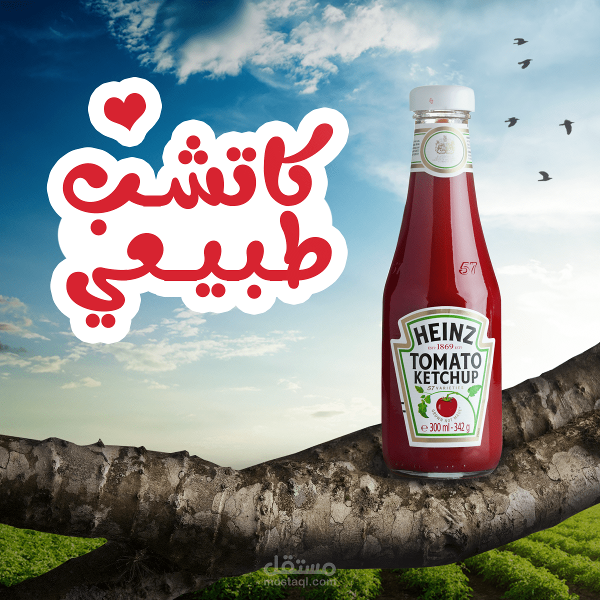 "Poster Social Media "HENZ